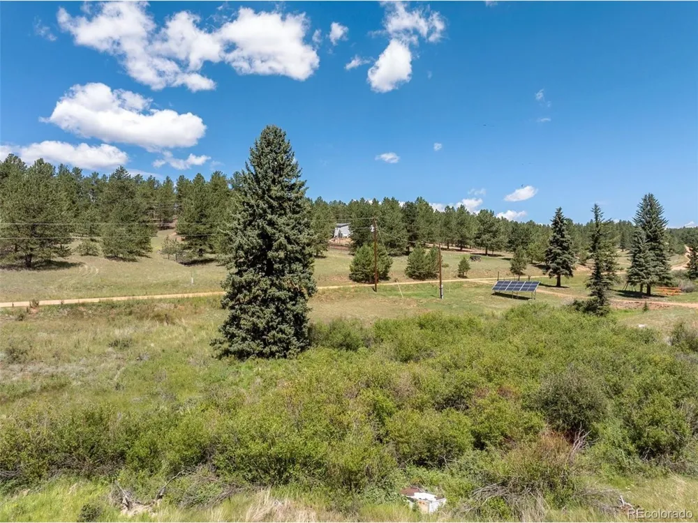 1676 Pathfinder Road Florissant, CO 80816