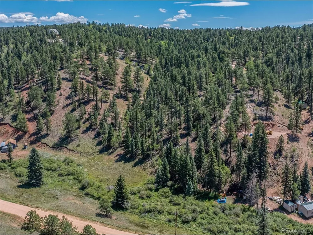 1676 Pathfinder Road Florissant, CO 80816