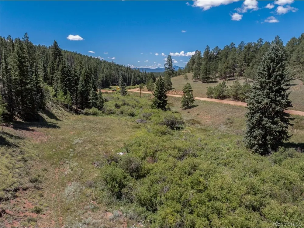 1676 Pathfinder Road Florissant, CO 80816