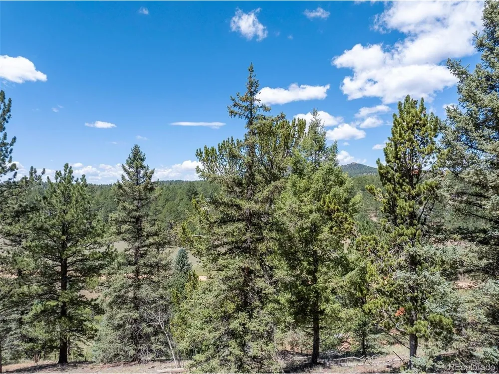 1676 Pathfinder Road Florissant, CO 80816