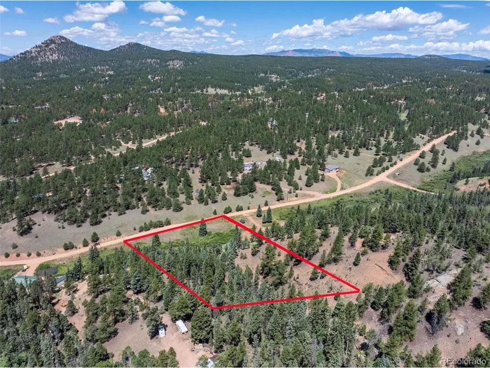 1676 Pathfinder Road Florissant, CO 80816