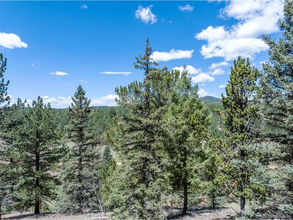 1676 Pathfinder Road Florissant, CO 80816