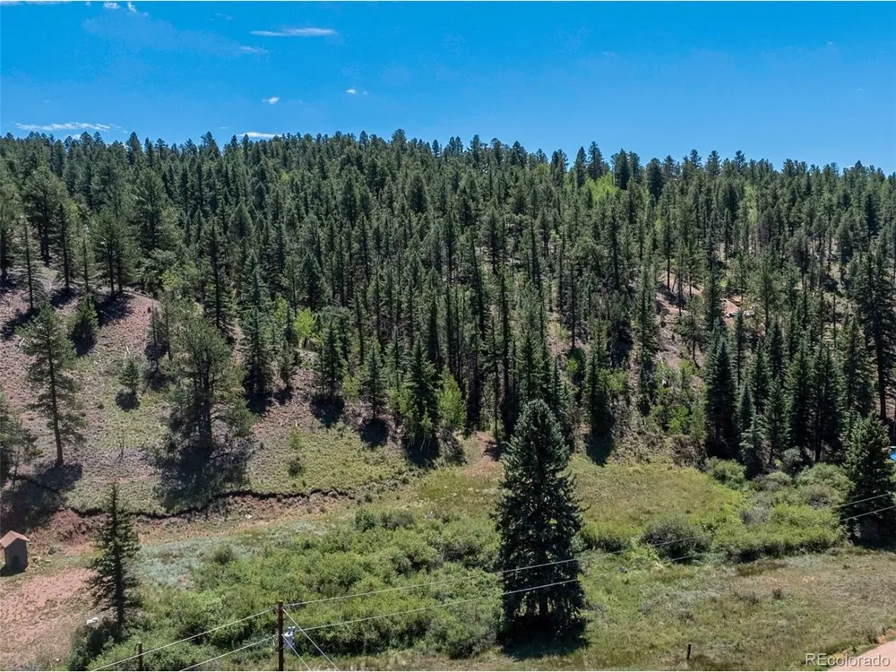 1676 Pathfinder Road Florissant, CO 80816