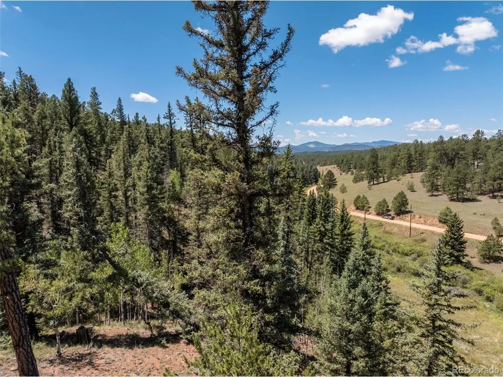 1676 Pathfinder Road Florissant, CO 80816