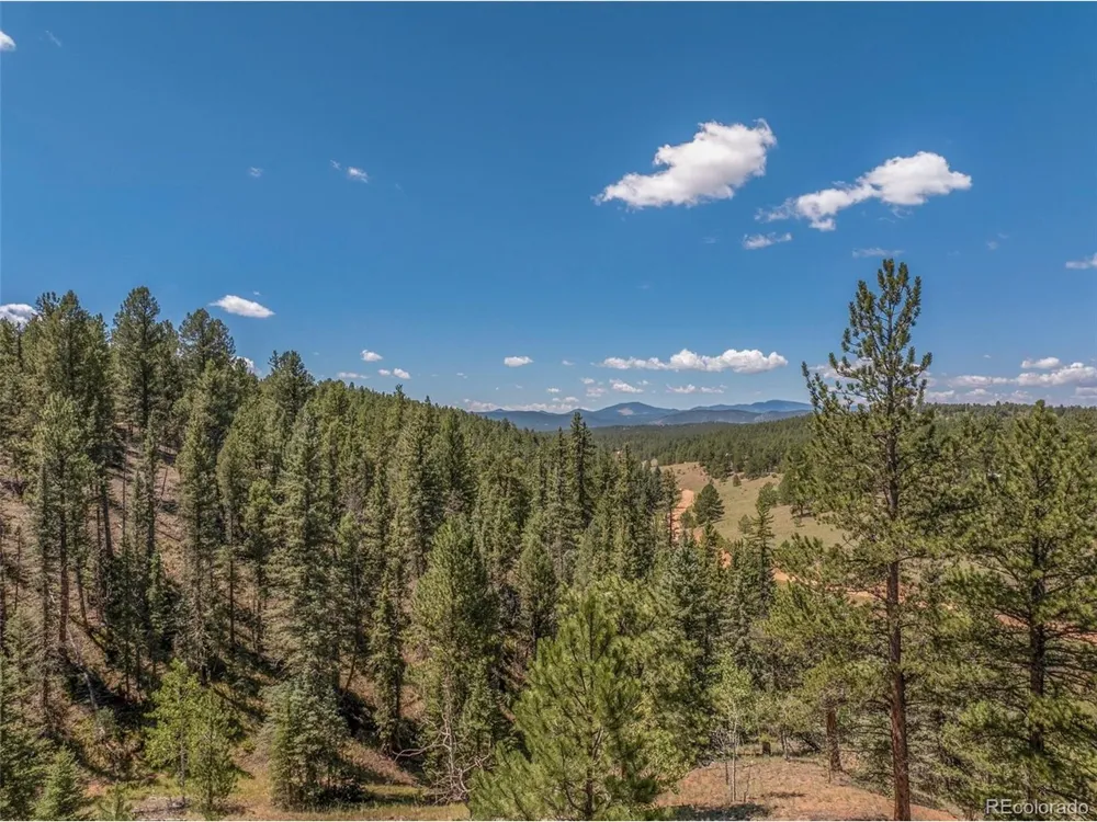 1676 Pathfinder Road Florissant, CO 80816