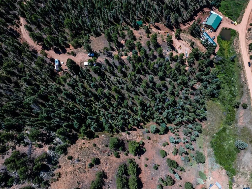 1676 Pathfinder Road Florissant, CO 80816