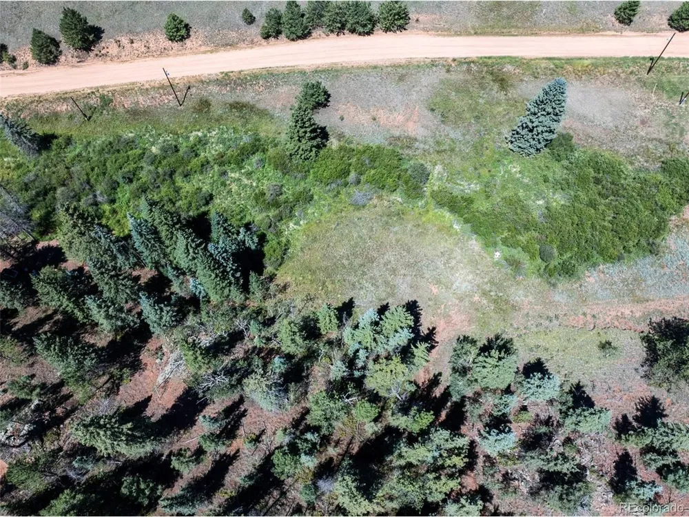 1676 Pathfinder Road Florissant, CO 80816