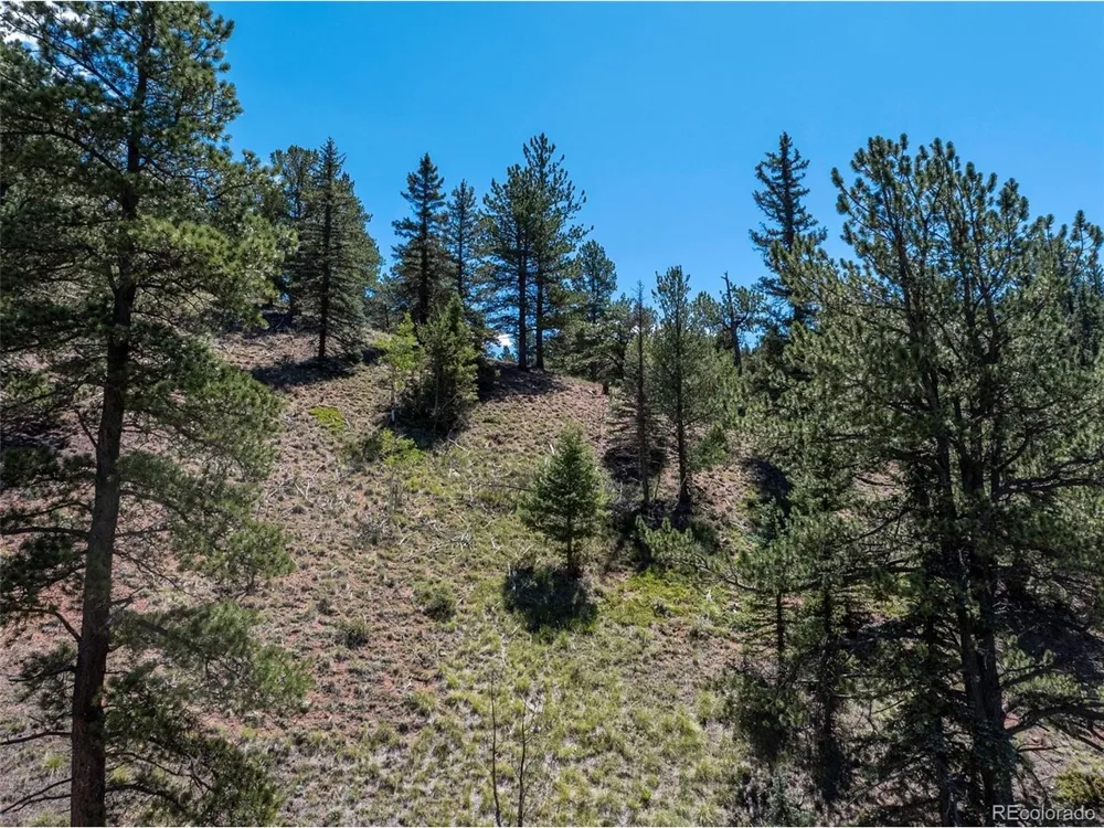 1676 Pathfinder Road Florissant, CO 80816