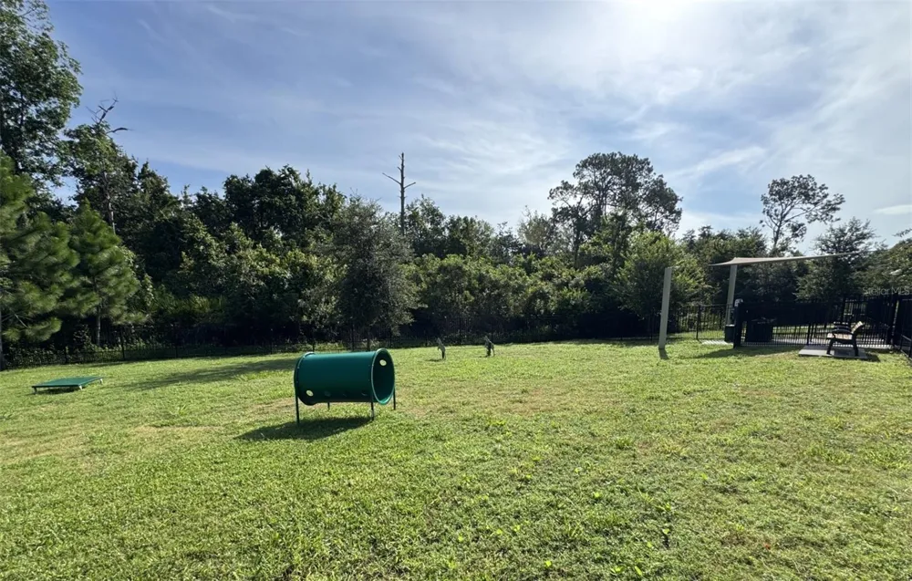 17398 SWEET MORO DRIVE Winter Garden, FL 34787