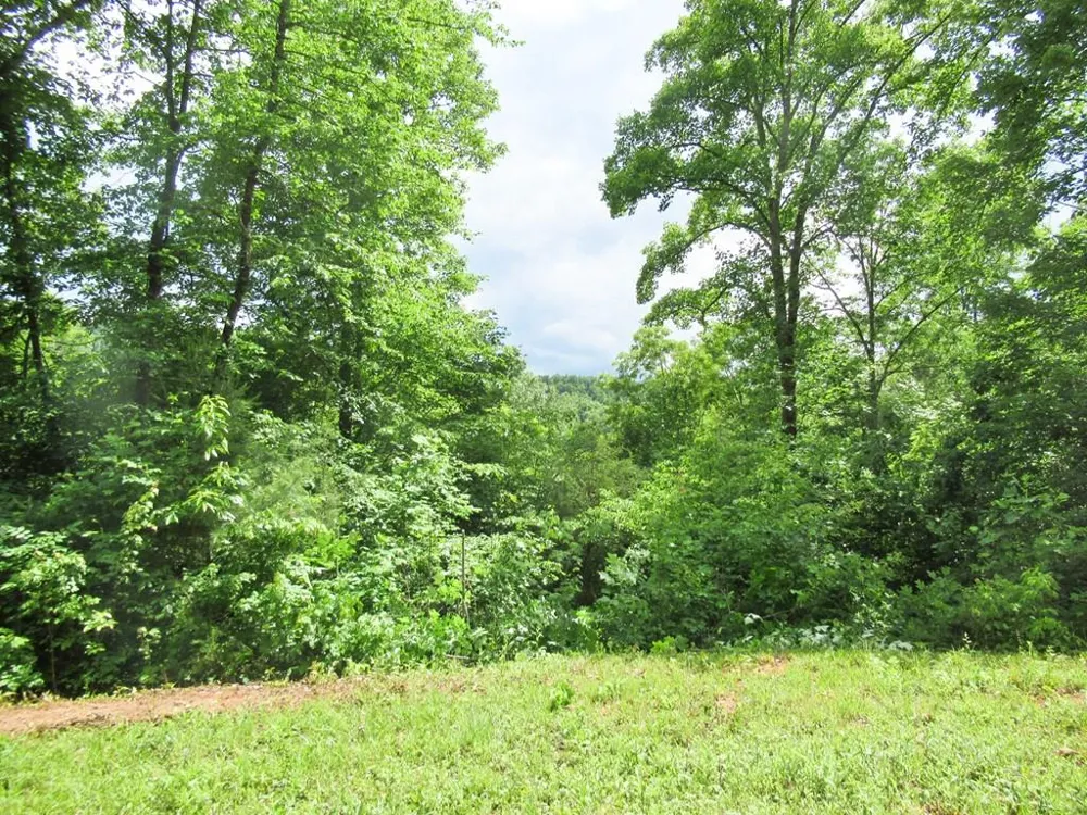 Berry Cove Rd Franklin, NC 28734