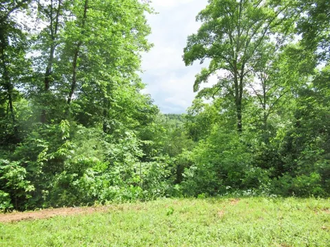 Berry Cove Rd