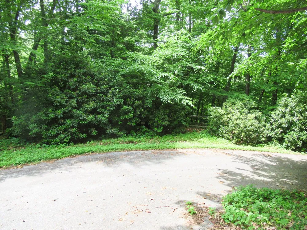 Berry Cove Rd Franklin, NC 28734