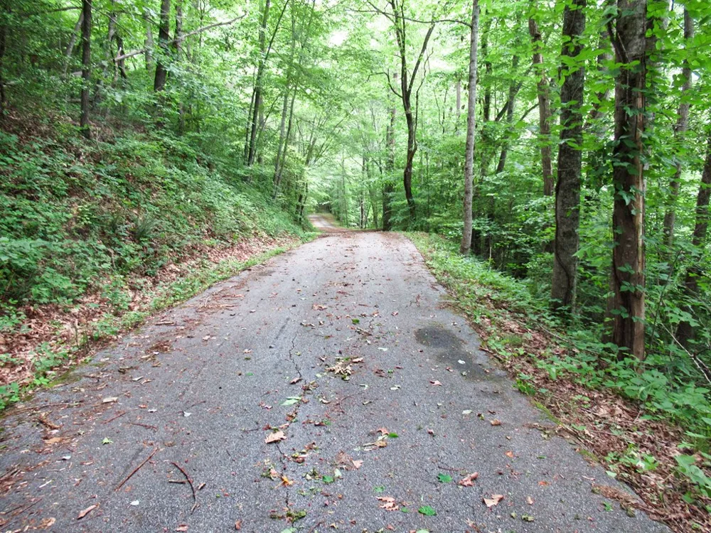 Berry Cove Rd Franklin, NC 28734