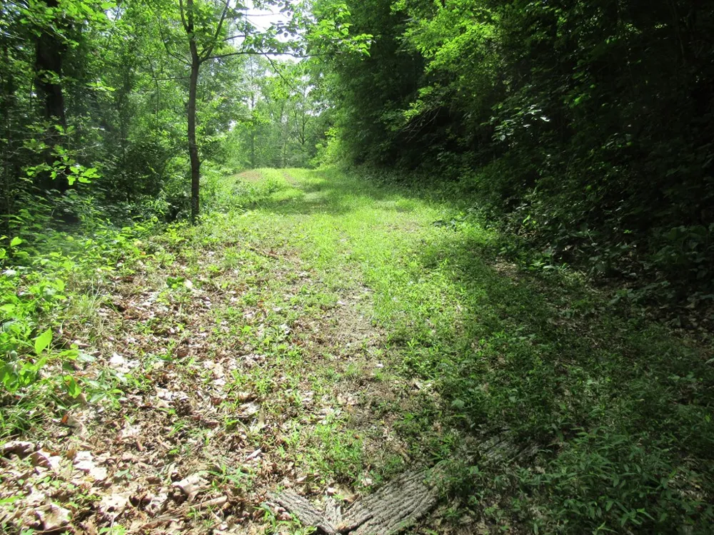 Berry Cove Rd Franklin, NC 28734