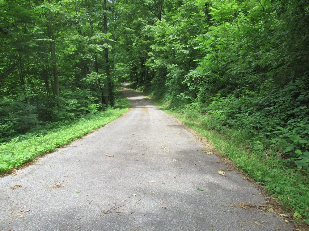 Berry Cove Rd Franklin, NC 28734