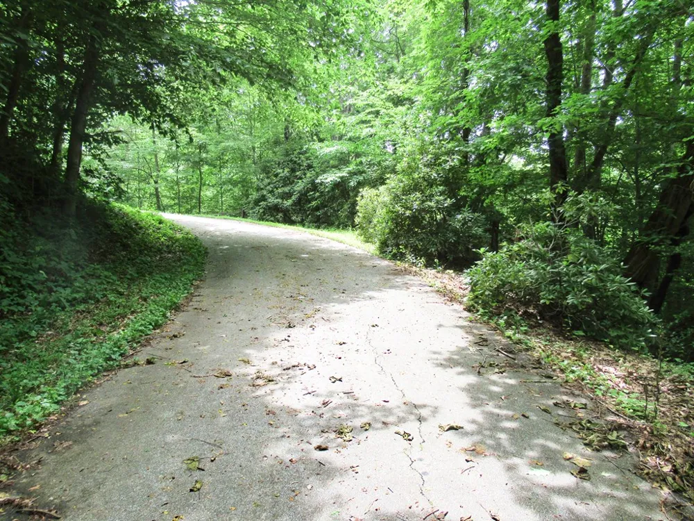 Berry Cove Rd Franklin, NC 28734