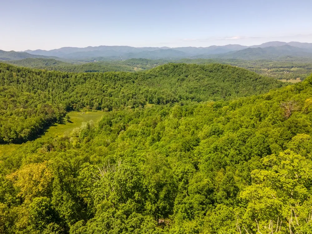 Berry Cove Rd Franklin, NC 28734