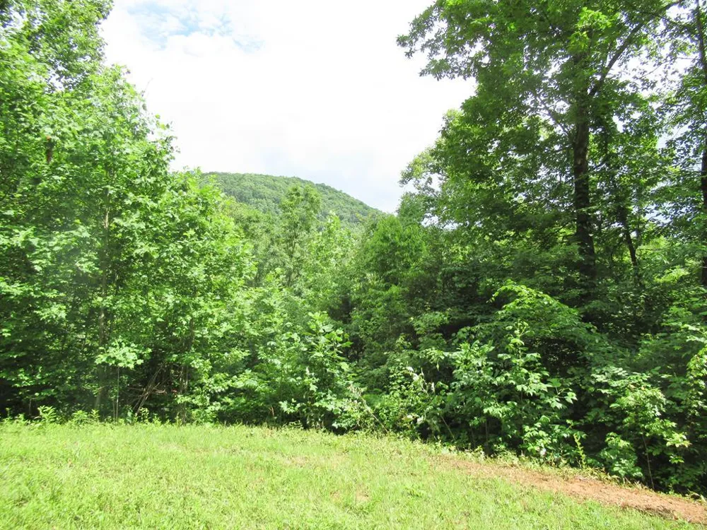 Berry Cove Rd Franklin, NC 28734