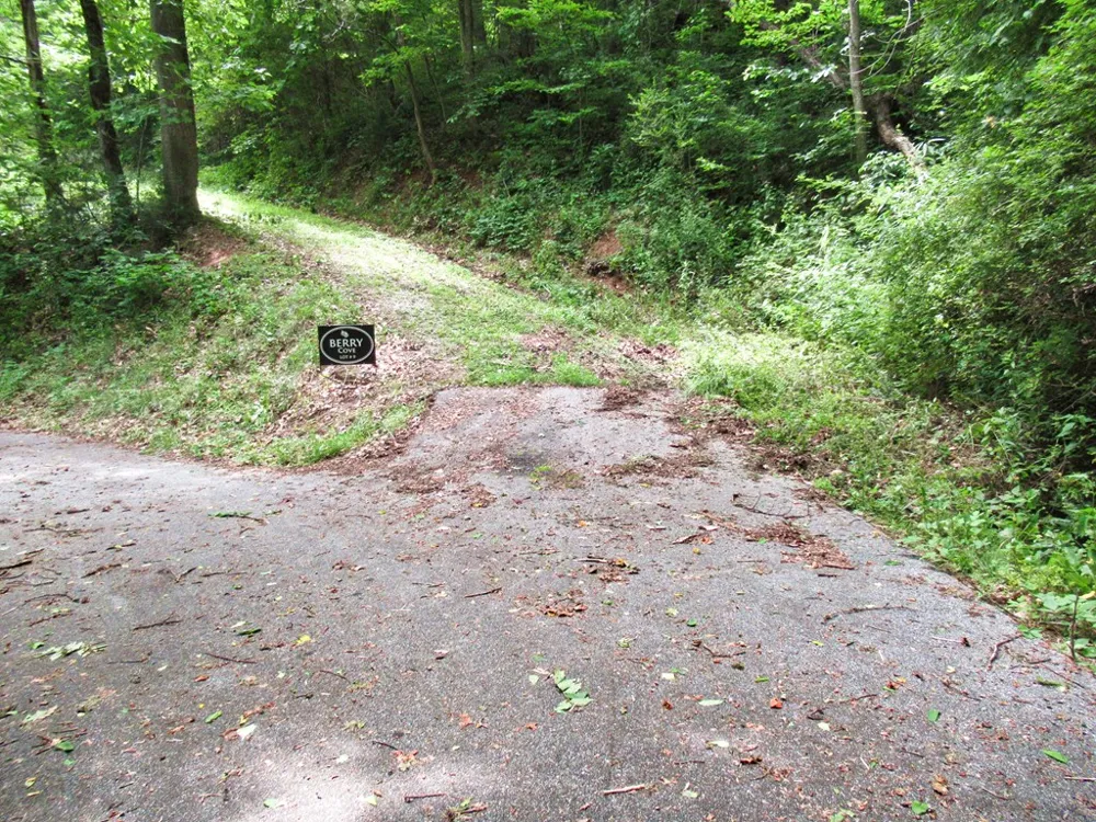 Berry Cove Rd Franklin, NC 28734