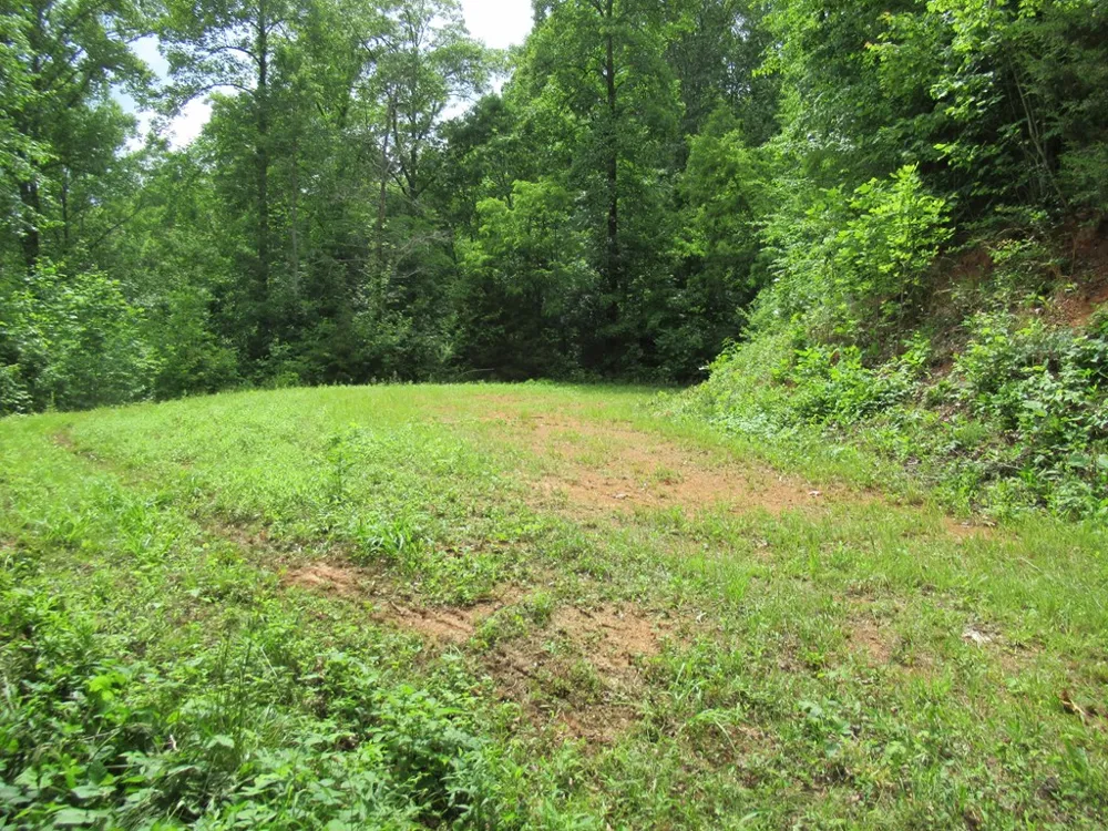 Berry Cove Rd Franklin, NC 28734