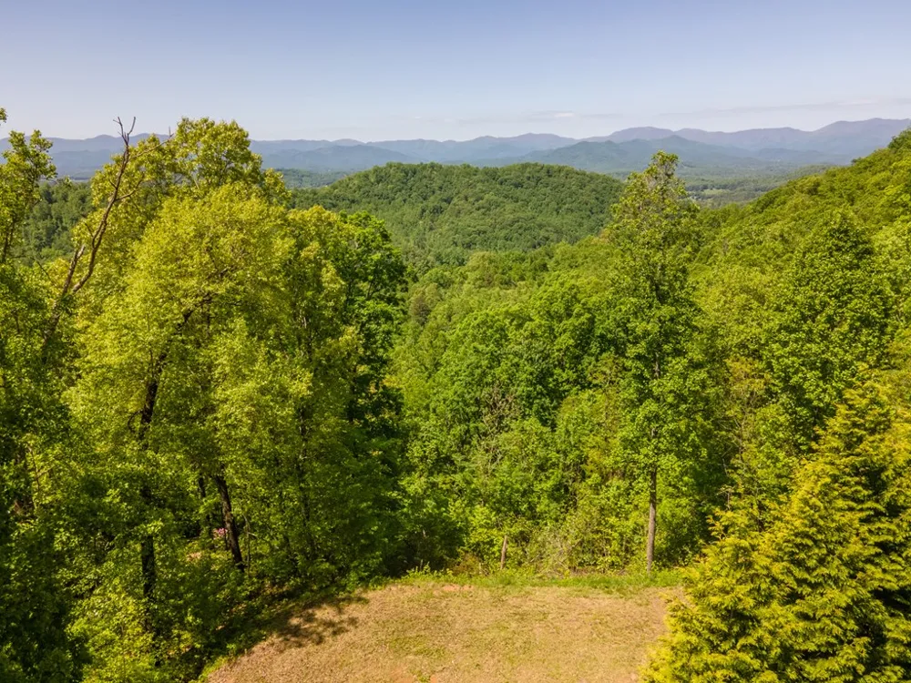Berry Cove Rd Franklin, NC 28734