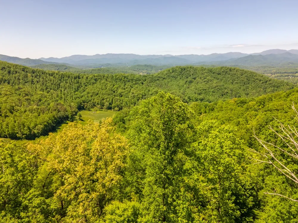 Berry Cove Rd Franklin, NC 28734