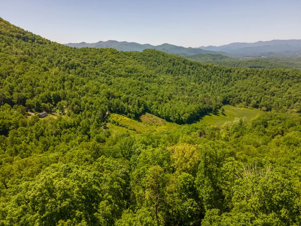 Berry Cove Rd Franklin, NC 28734