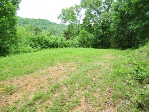 Berry Cove Rd
