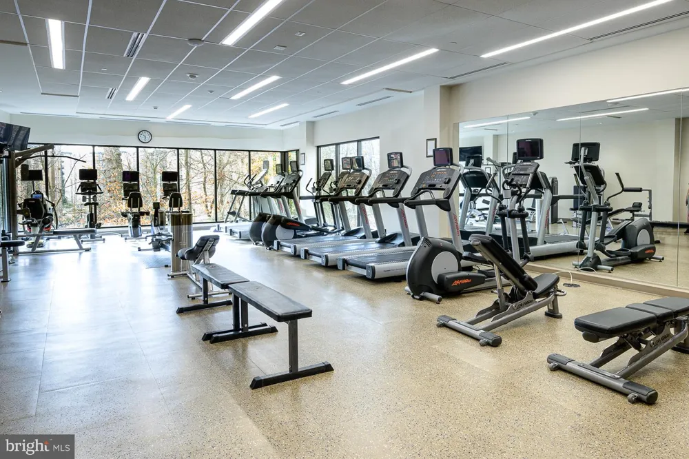 5904 MOUNT EAGLE DRIVE #711 Alexandria, VA 22303