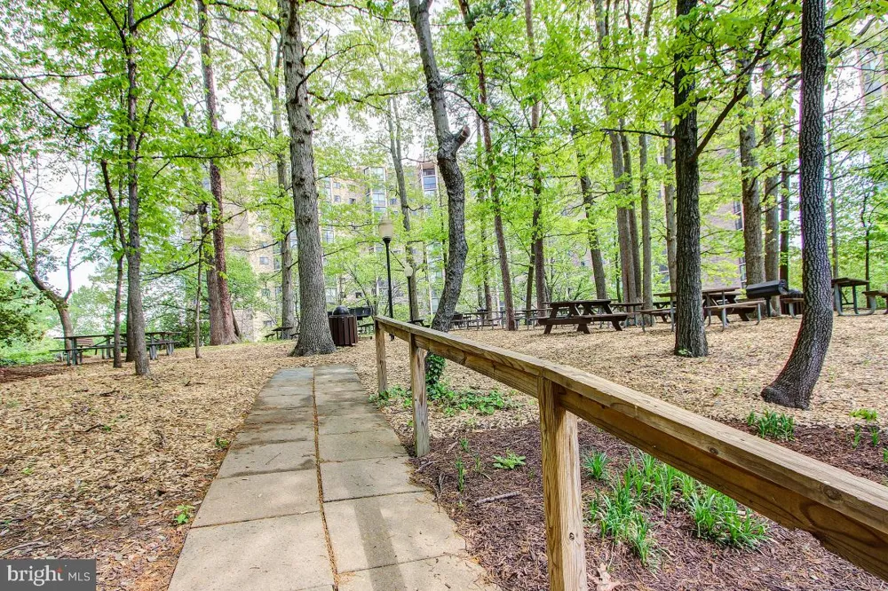 5904 MOUNT EAGLE DRIVE #711 Alexandria, VA 22303