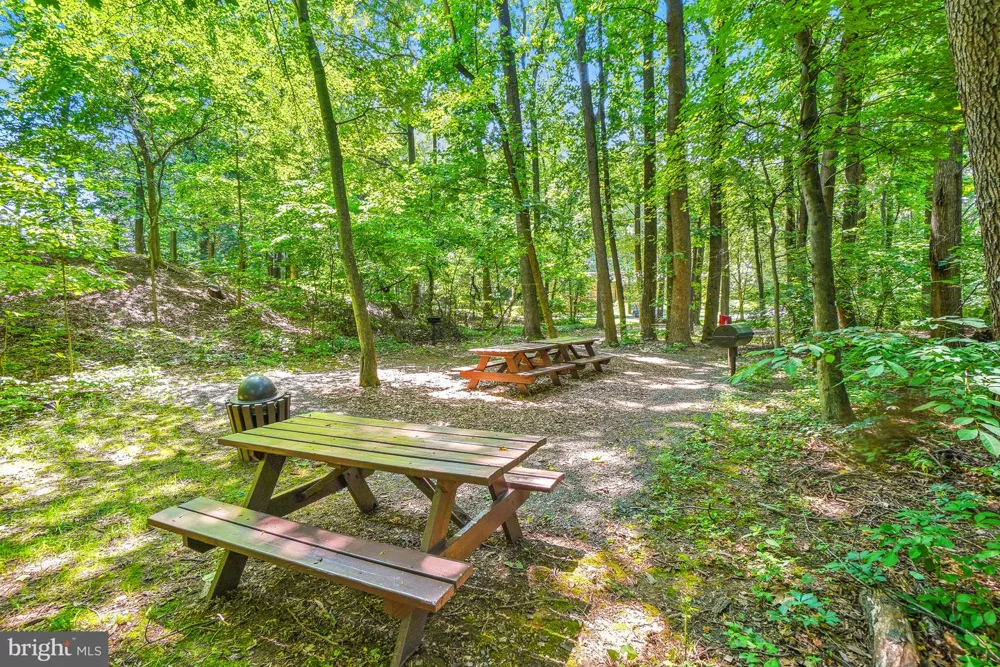 5904 MOUNT EAGLE DRIVE #711 Alexandria, VA 22303