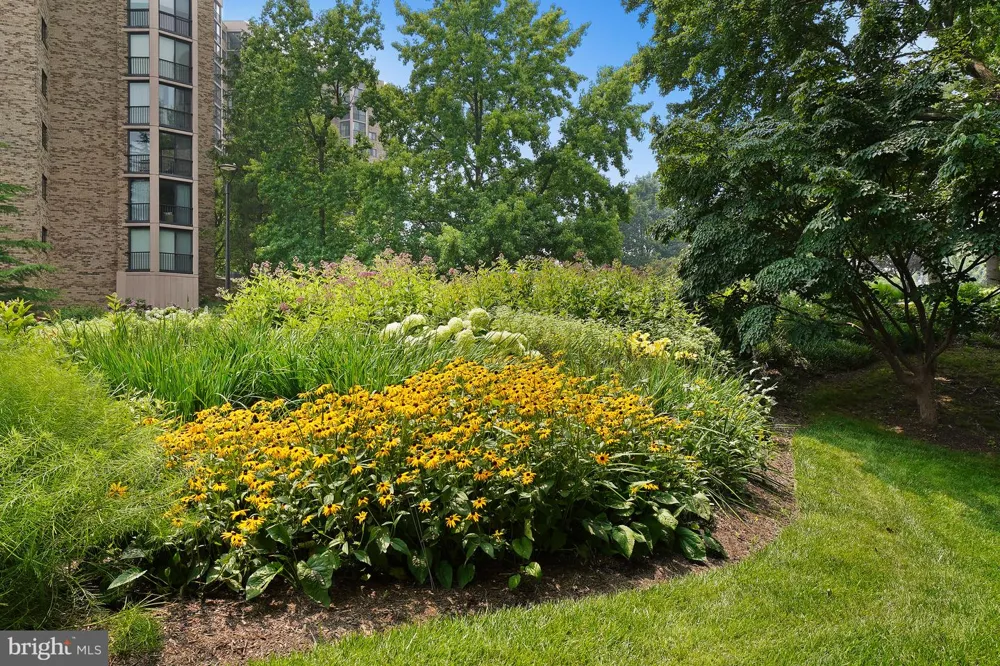 5904 MOUNT EAGLE DRIVE #711 Alexandria, VA 22303