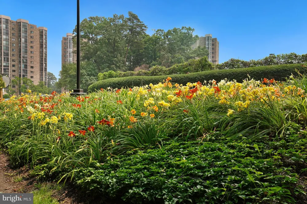 5904 MOUNT EAGLE DRIVE #711 Alexandria, VA 22303