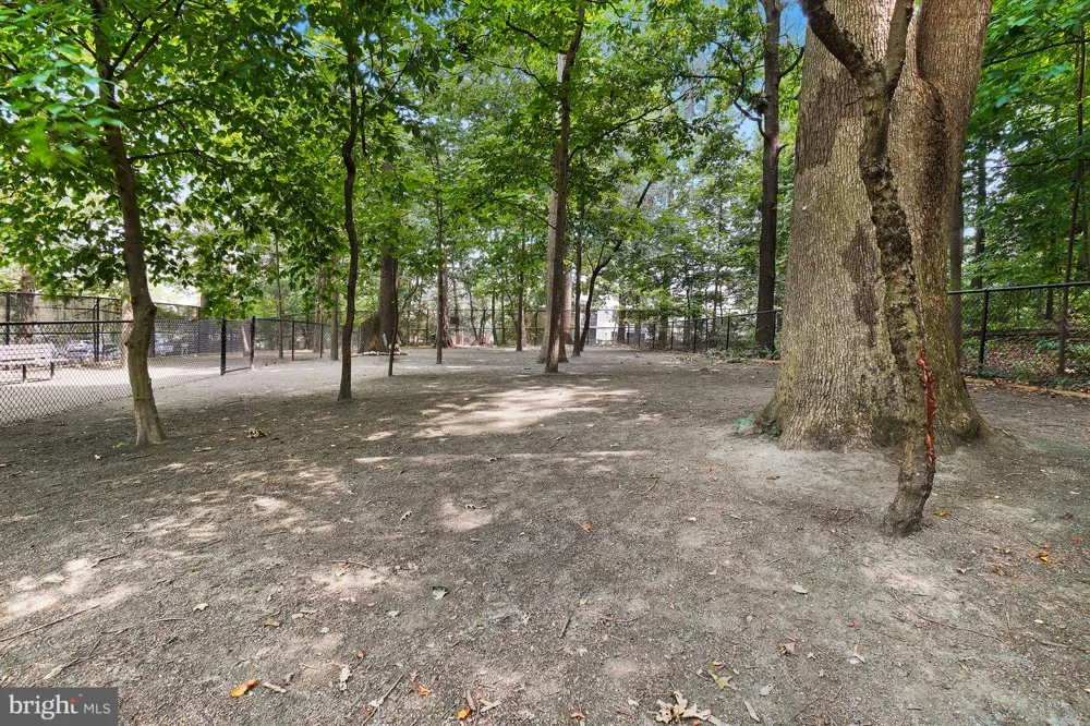 5904 MOUNT EAGLE DRIVE #711 Alexandria, VA 22303