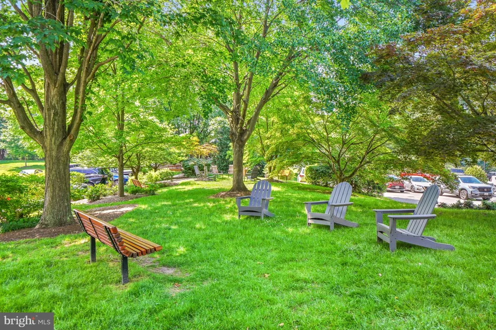 5904 MOUNT EAGLE DRIVE #711 Alexandria, VA 22303