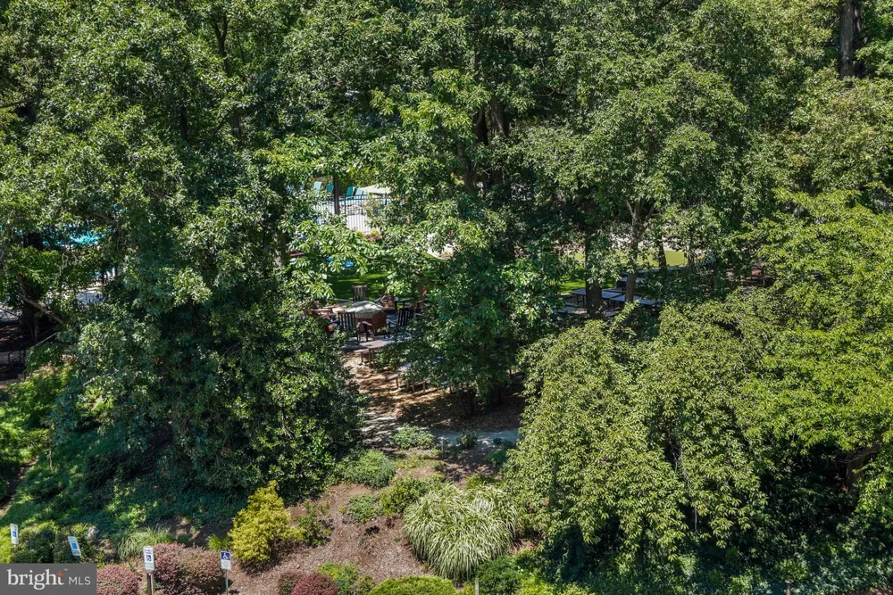 5904 MOUNT EAGLE DRIVE #711 Alexandria, VA 22303