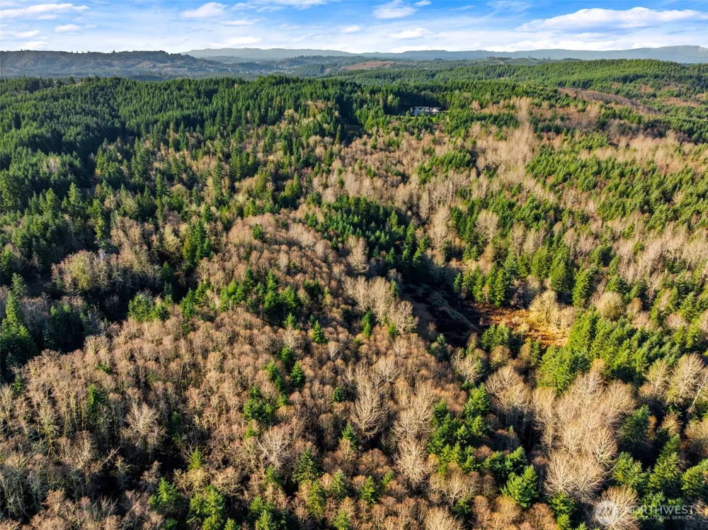 7848 Wapiti Lane SE Tenino, WA 98589