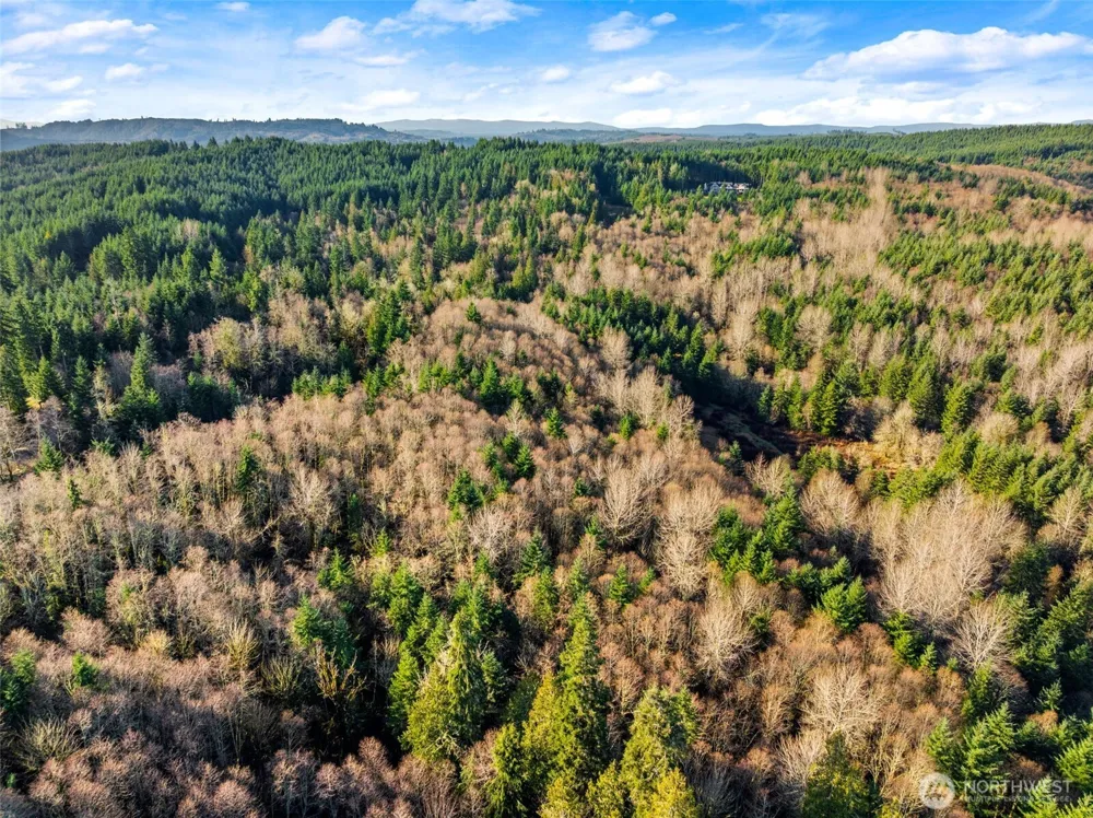 7848 Wapiti Lane SE Tenino, WA 98589