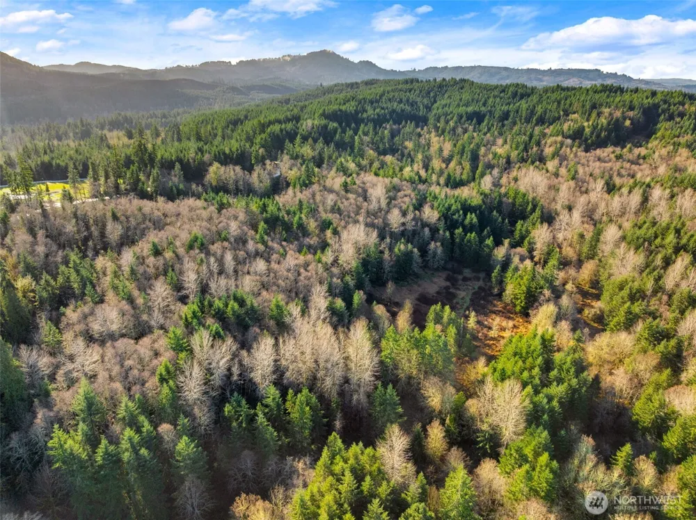 7848 Wapiti Lane SE Tenino, WA 98589