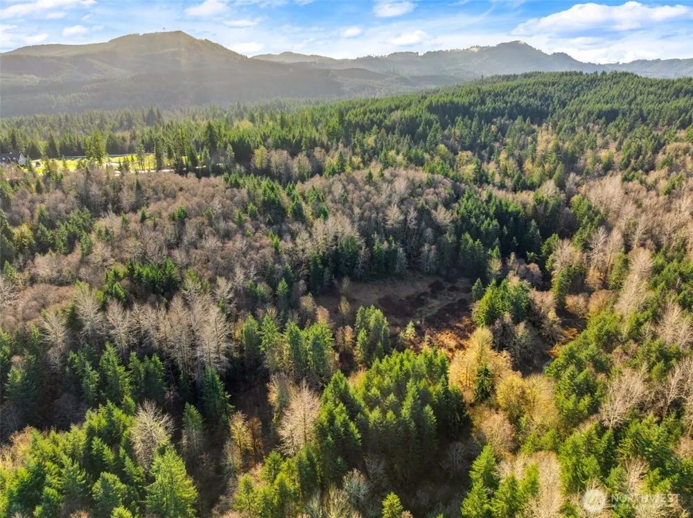 7848 Wapiti Lane SE Tenino, WA 98589