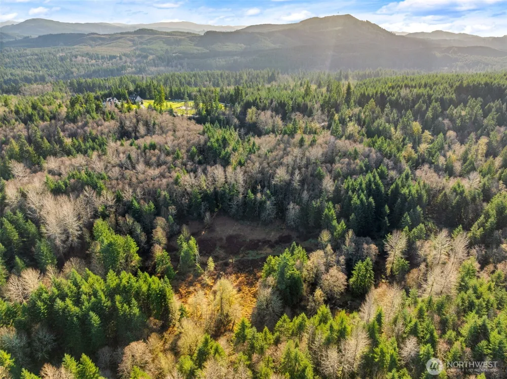 7848 Wapiti Lane SE Tenino, WA 98589