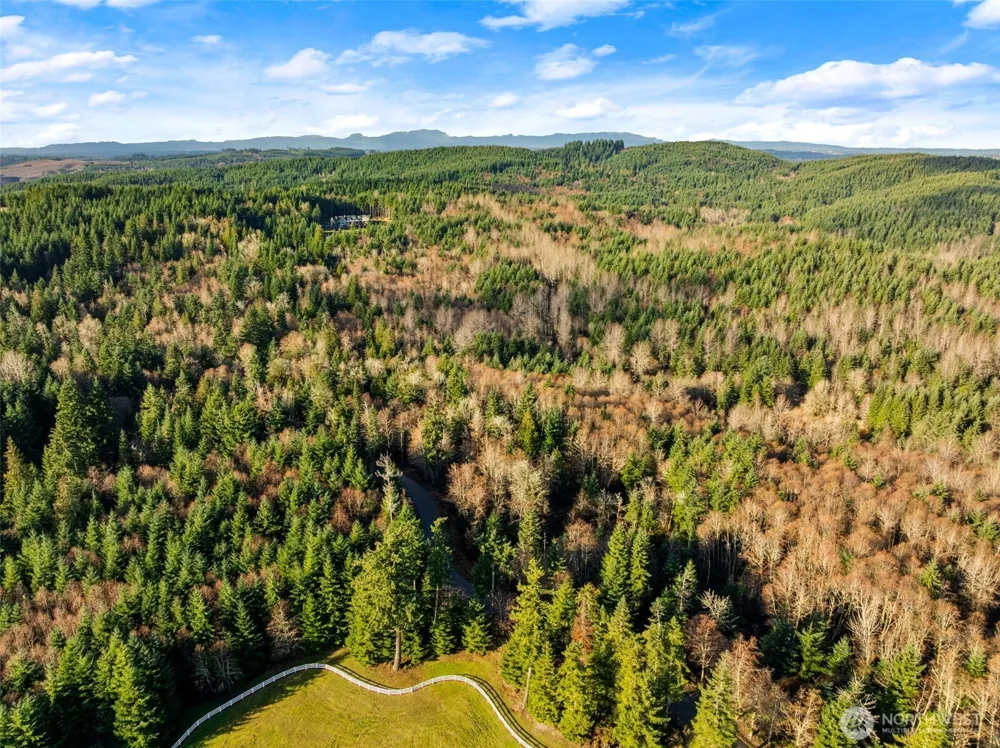 7848 Wapiti Lane SE Tenino, WA 98589