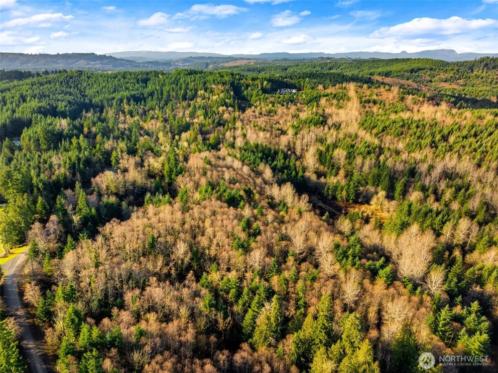 7848 Wapiti Lane SE Tenino, WA 98589