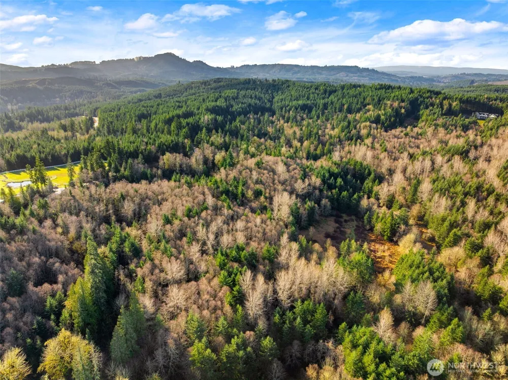 7848 Wapiti Lane SE Tenino, WA 98589