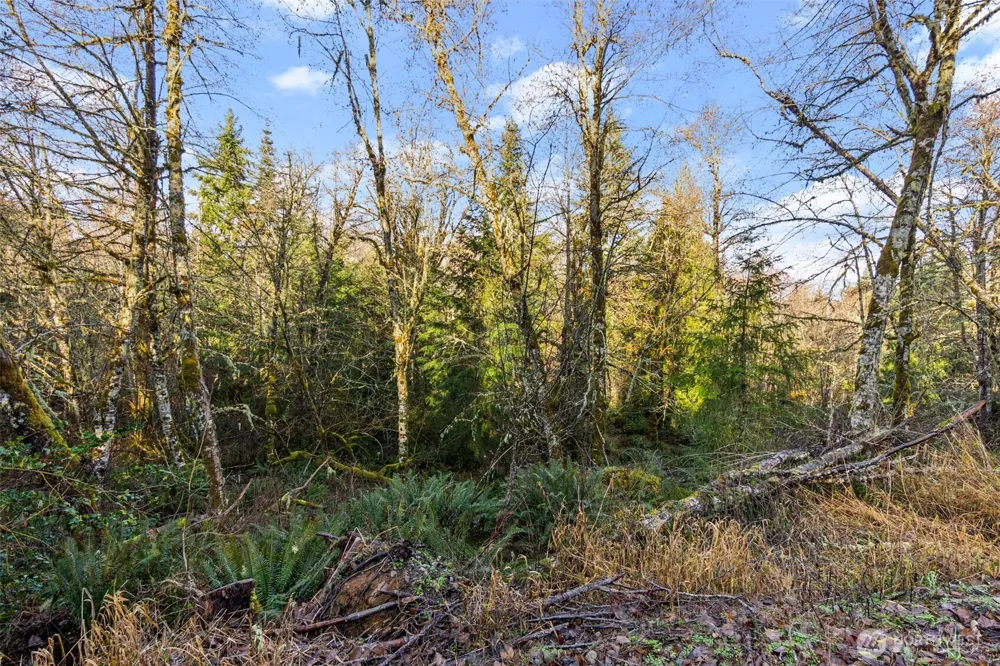 7848 Wapiti Lane SE Tenino, WA 98589