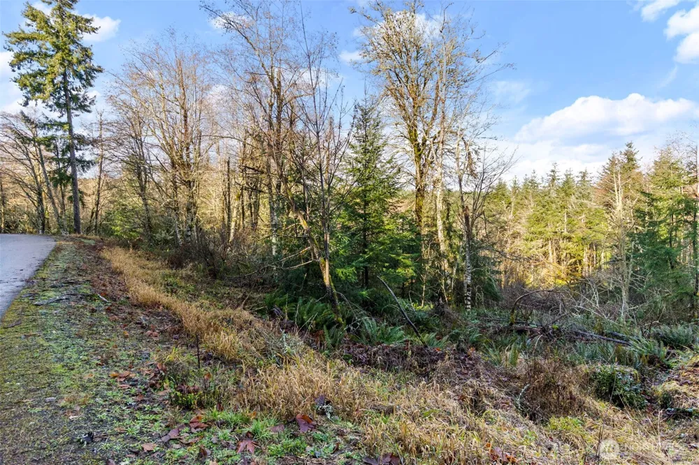 7848 Wapiti Lane SE Tenino, WA 98589