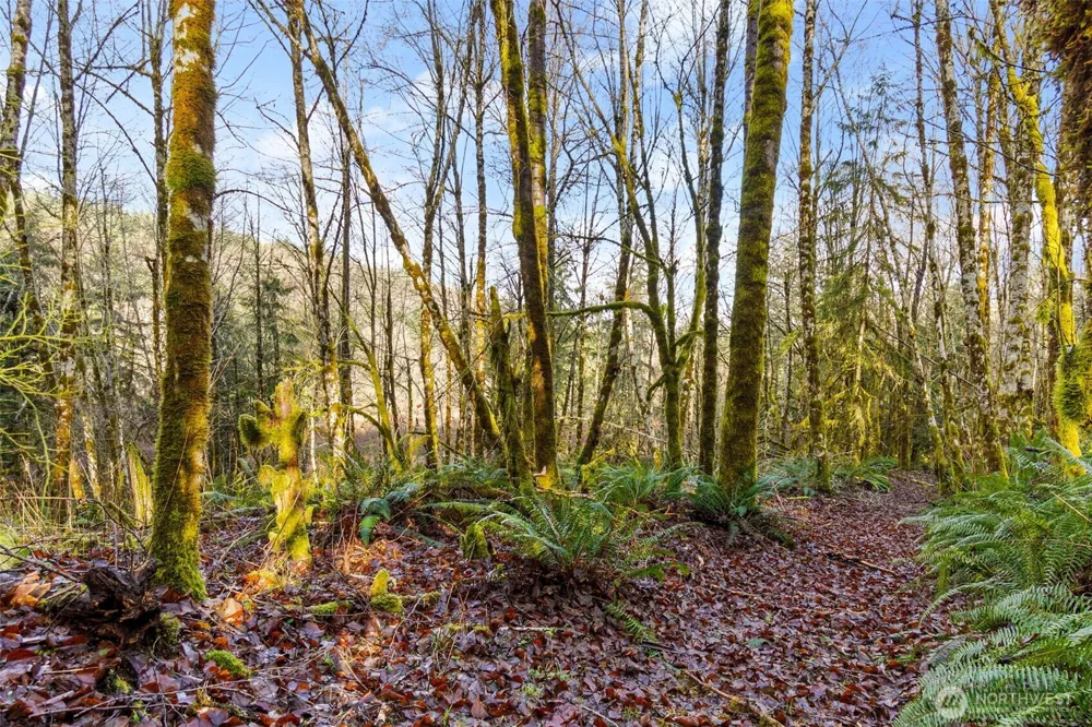 7848 Wapiti Lane SE Tenino, WA 98589