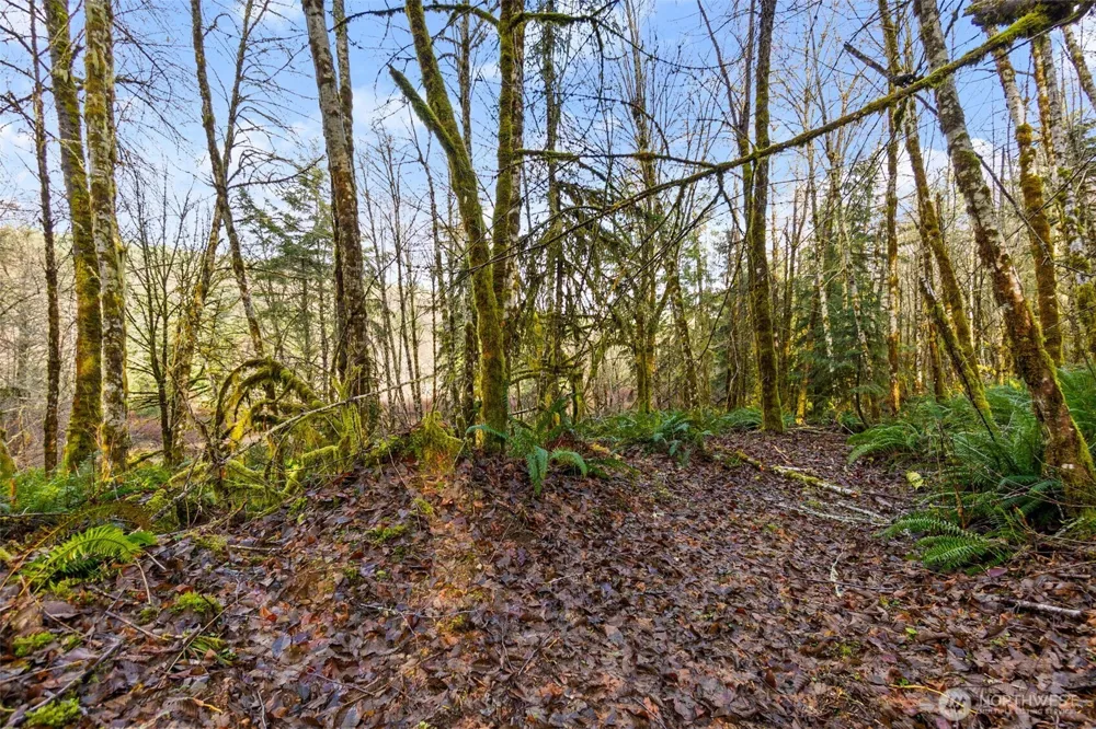 7848 Wapiti Lane SE Tenino, WA 98589