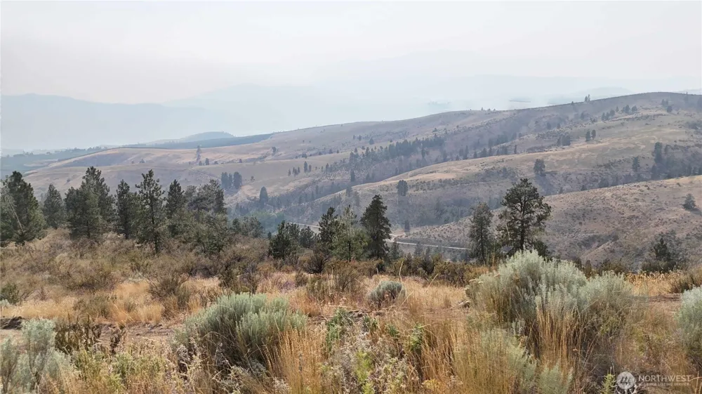 0 NNA Purtteman Gulch Rd. Chelan, WA 98816