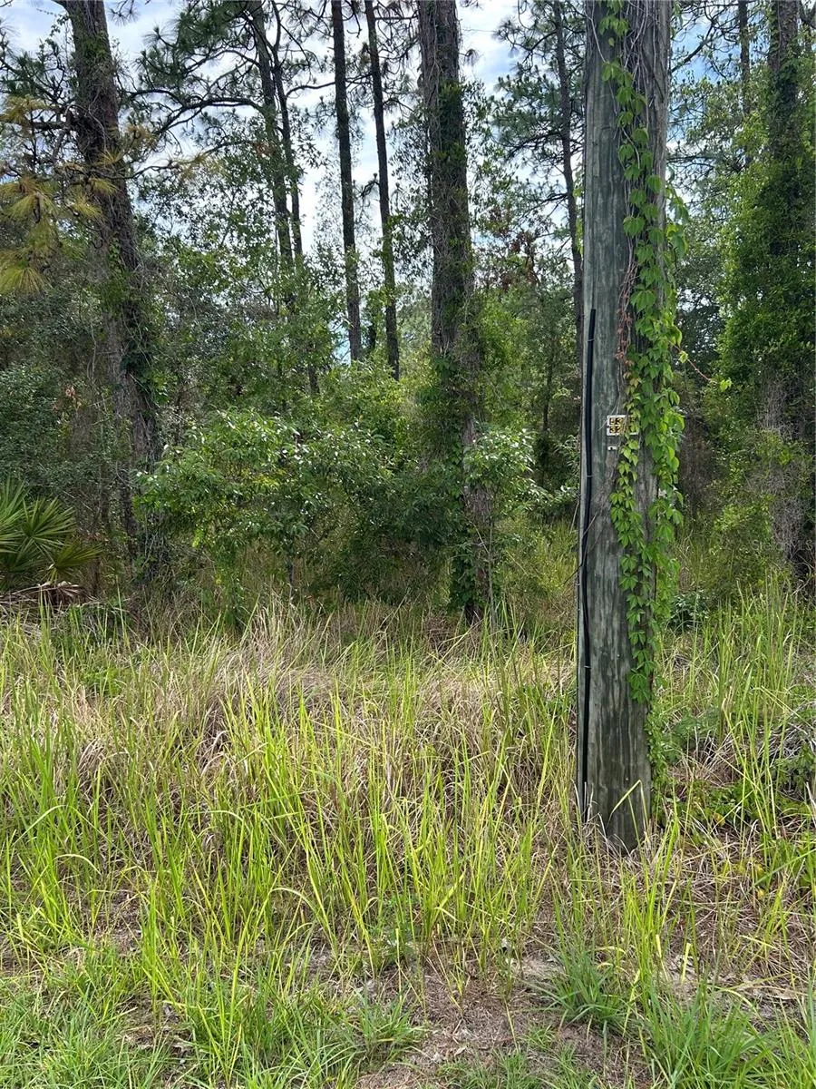 8131 NIGHTINGALE ROAD Weeki Wachee, FL 34613